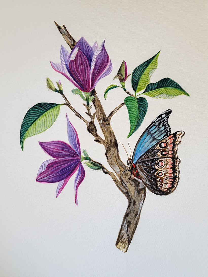 Meu projeto do curso: Ilustração naturalista com guache e aquarela 3