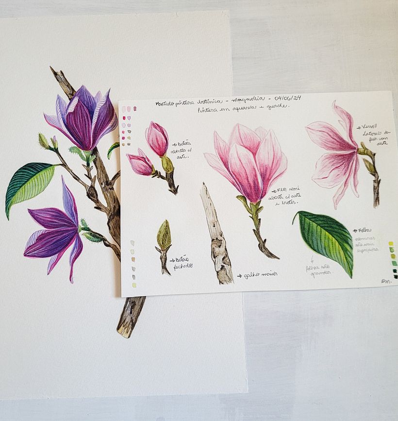 Meu projeto do curso: Ilustração naturalista com guache e aquarela 4