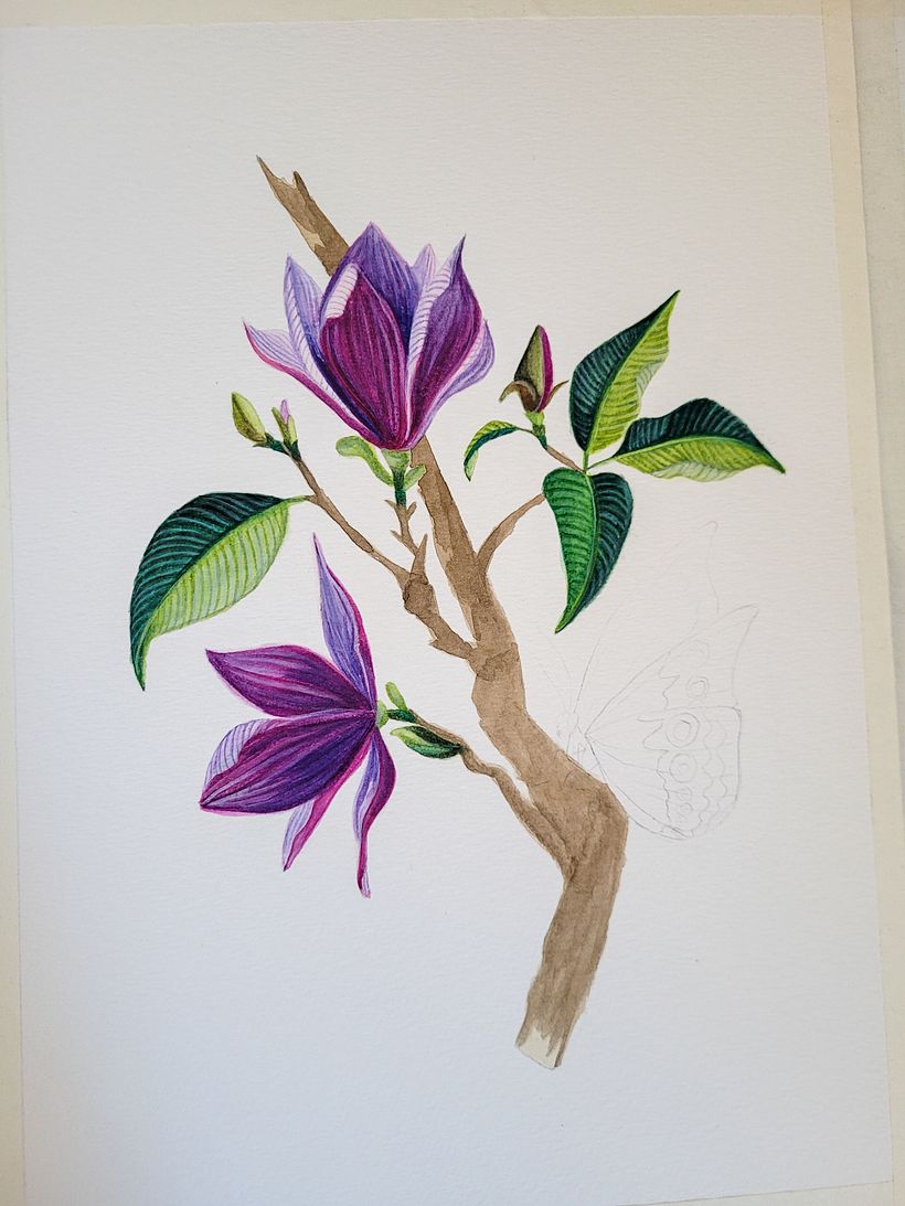 Meu projeto do curso: Ilustração naturalista com guache e aquarela 5