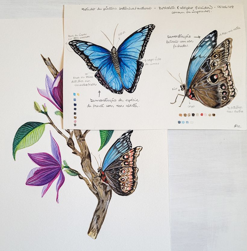 Meu projeto do curso: Ilustração naturalista com guache e aquarela 6