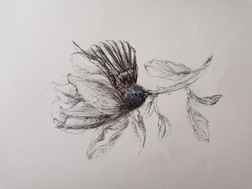 Disegna da un disegno. Magnolia trasformazione 1 