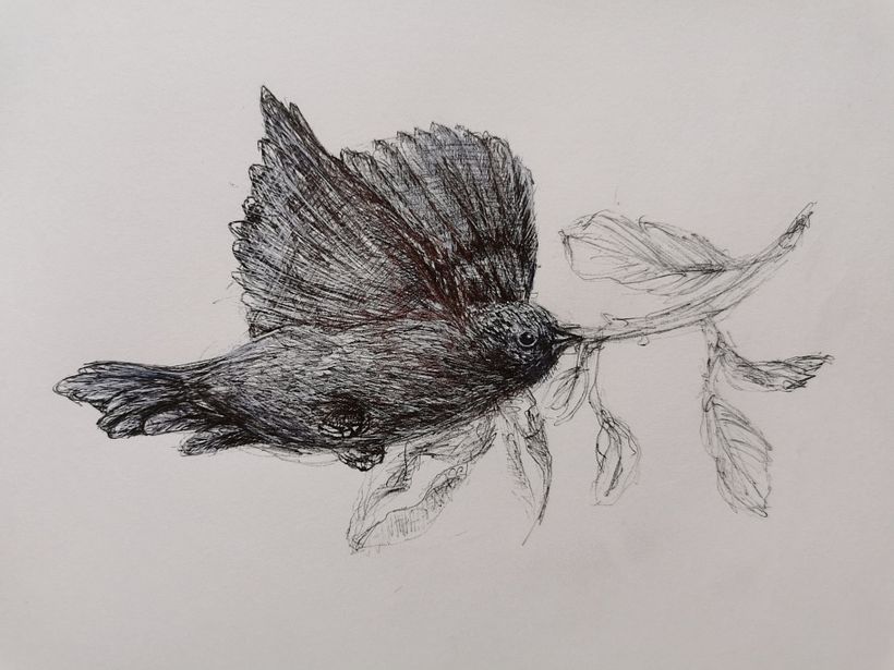 Disegna da un disegno. Magnolia trasformazione 2