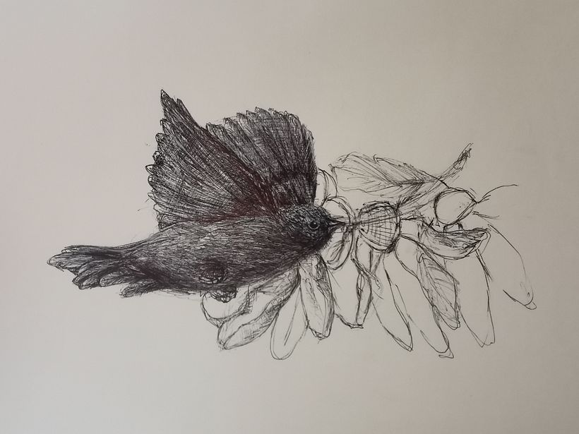 Disegna da un disegno. Magnolia trasformazione 3 