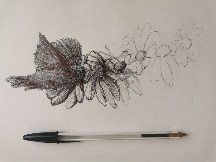Disegna da un disegno. Magnolia trasformazione 4