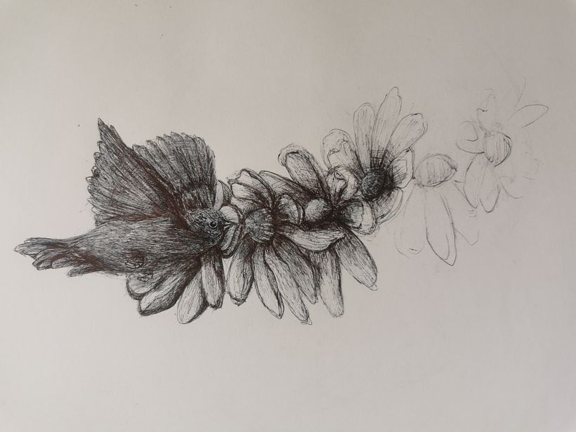 Disegna da un disegno. Magnolia trasformazione 5
