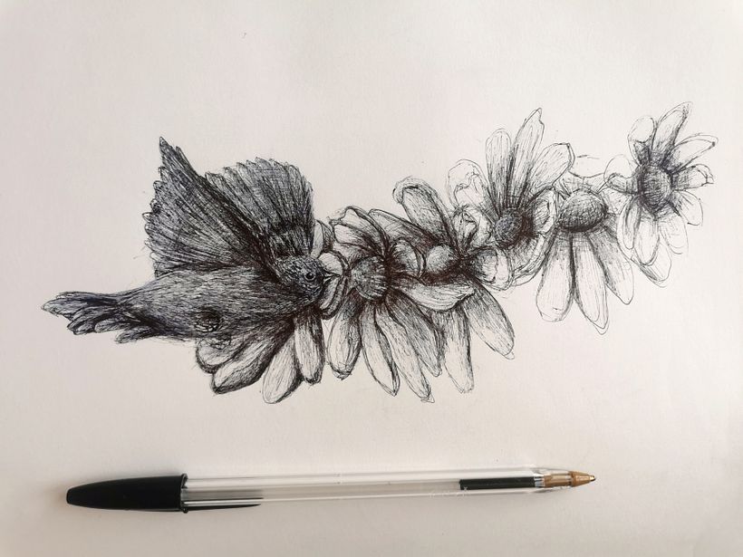 Disegna da un disegno. Magnolia trasformazione 6