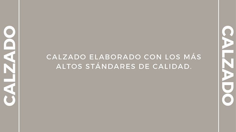 Mi proyecto del curso: Canva de 0 a 100: crea diseños de forma profesional 2