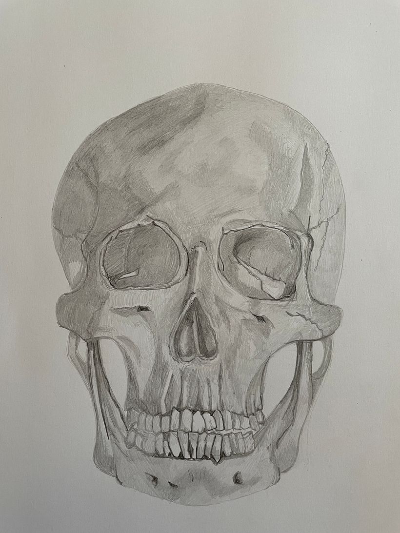 My project for course: Intro to Anatomy Drawing with Graphite Pencil 2