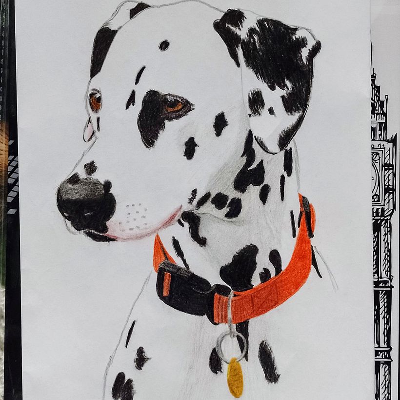 Mi proyecto del curso: Retratos de Mascotas en Lápices de Colores 2