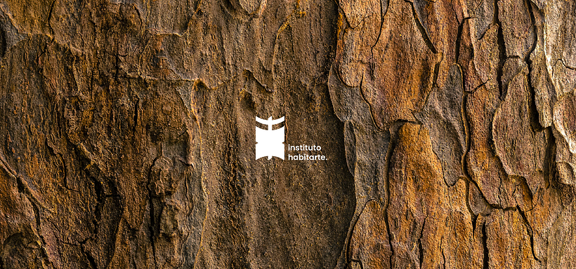 Instituto Habitarte • The playful way about Living 2