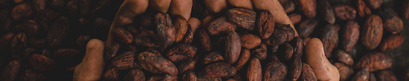 Instituto Habitarte • The playful way about Living 8