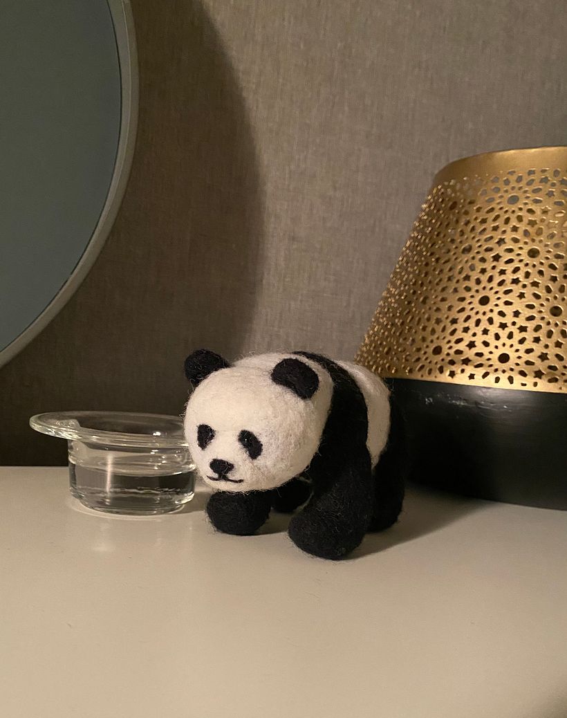 Mi Proyecto del curso: Needle felting: creación de personajes con lana y aguja 7