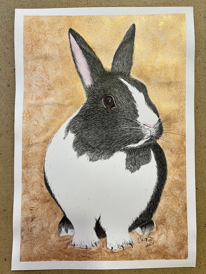 Retrato de mascotas  1