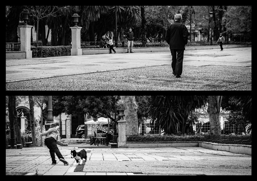 Ecos del Sur. - Fotografia