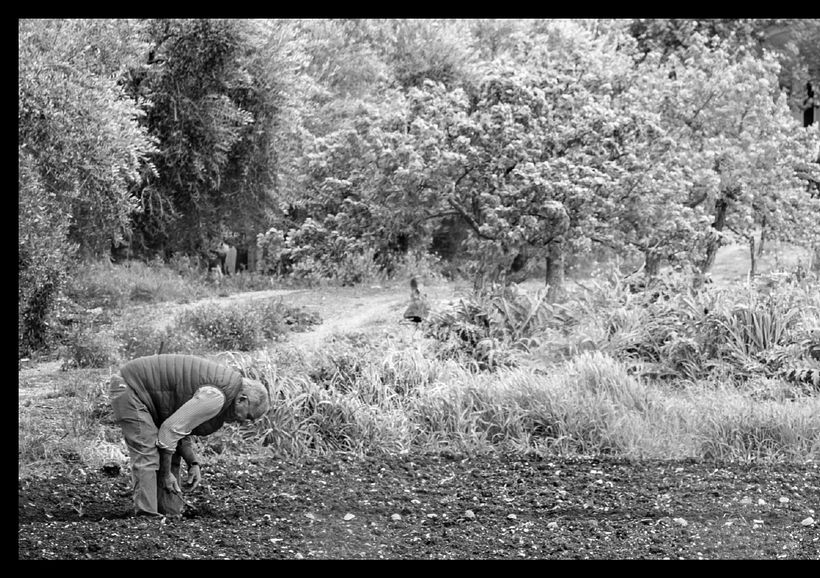 Ecos del Sur. - Fotografia