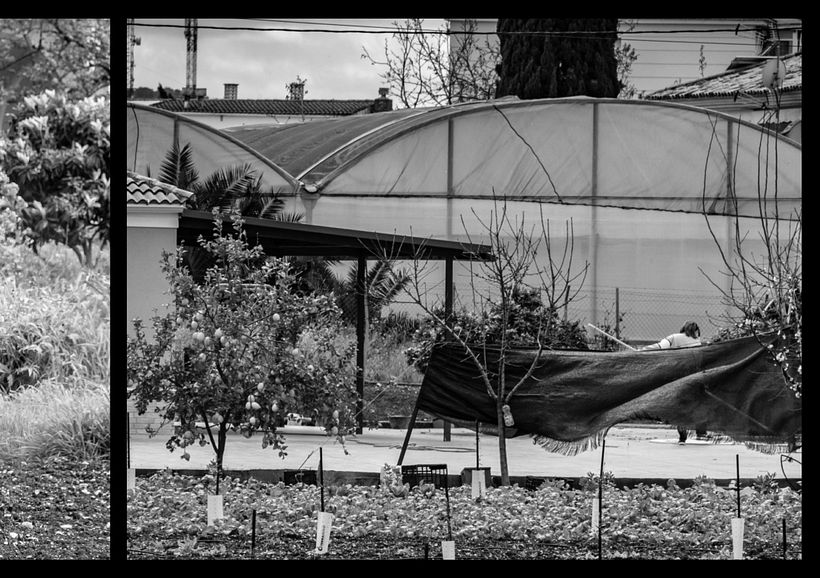 Ecos del Sur. - Fotografia
