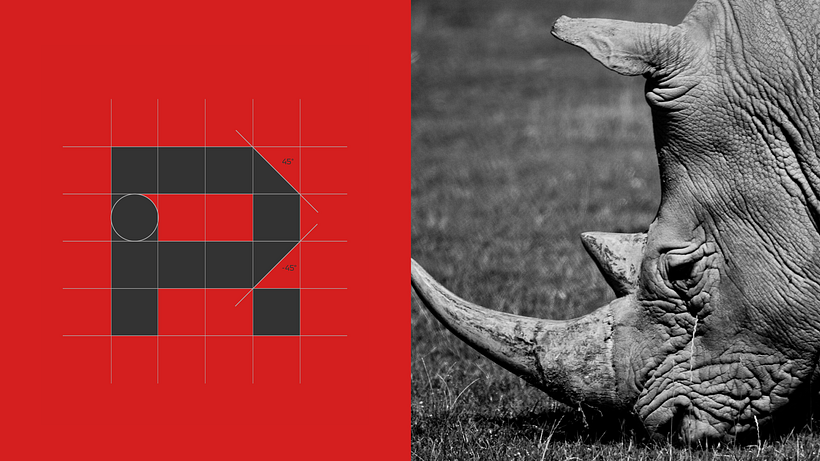 Rhino Buildz - Leading Construction Company 3