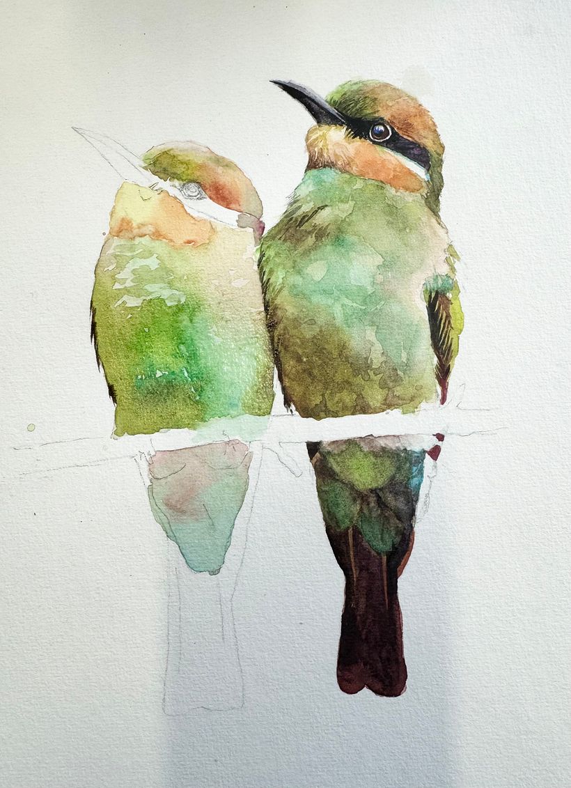 Repeating the process with the second bird 