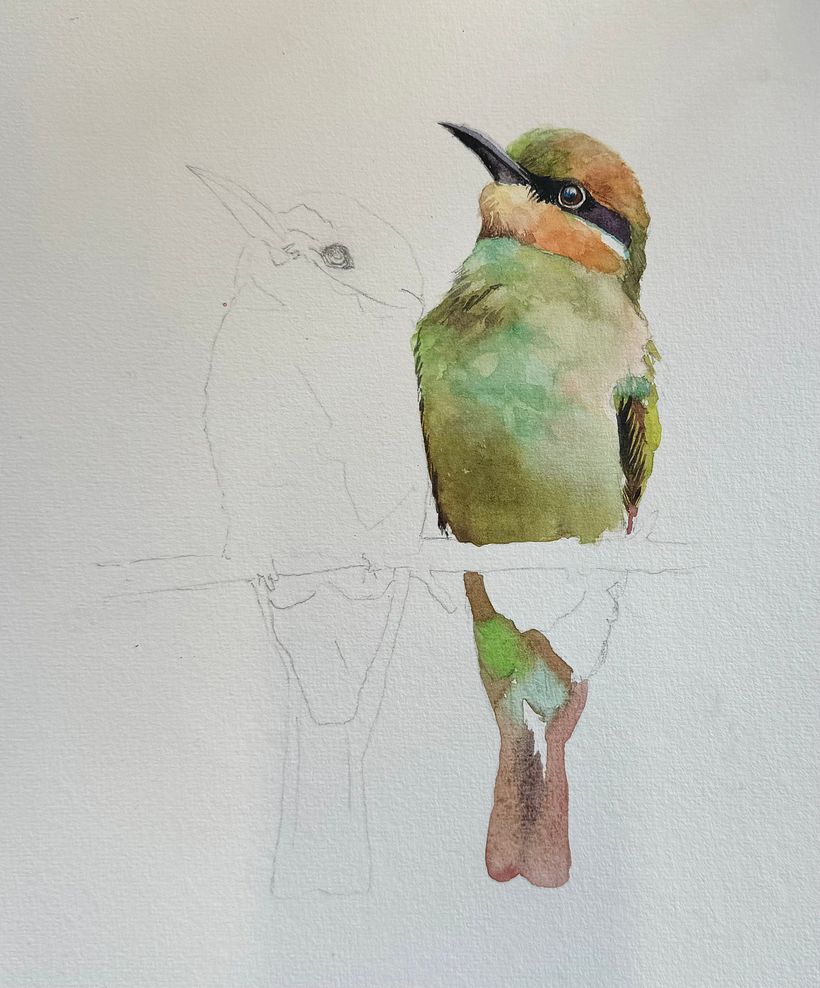 Second layer wet into dry, darkening the tones and making sense of the chest and face 