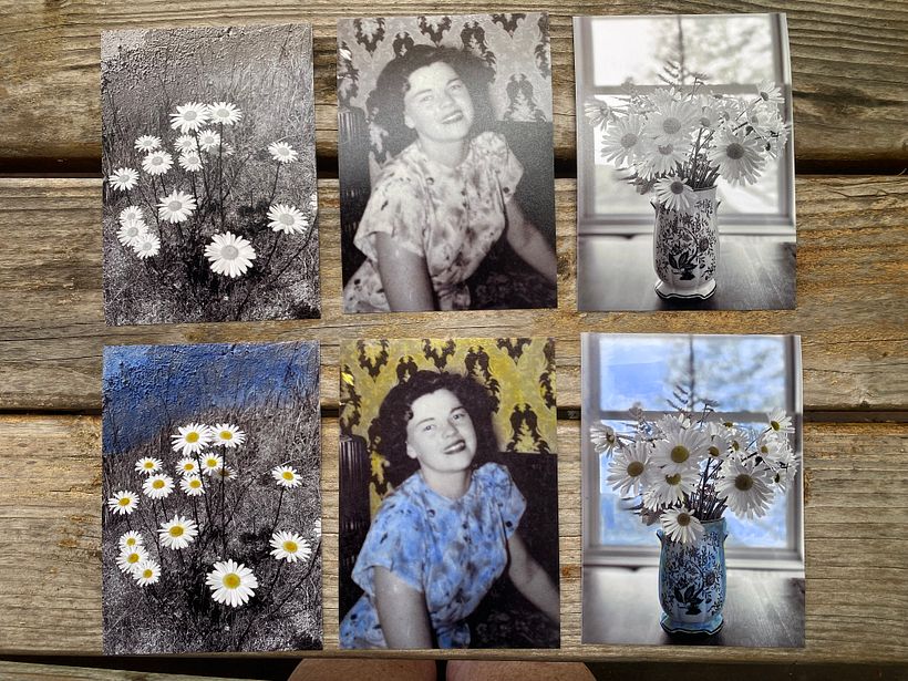 My project for course: Coloring Photos with Watercolor 2