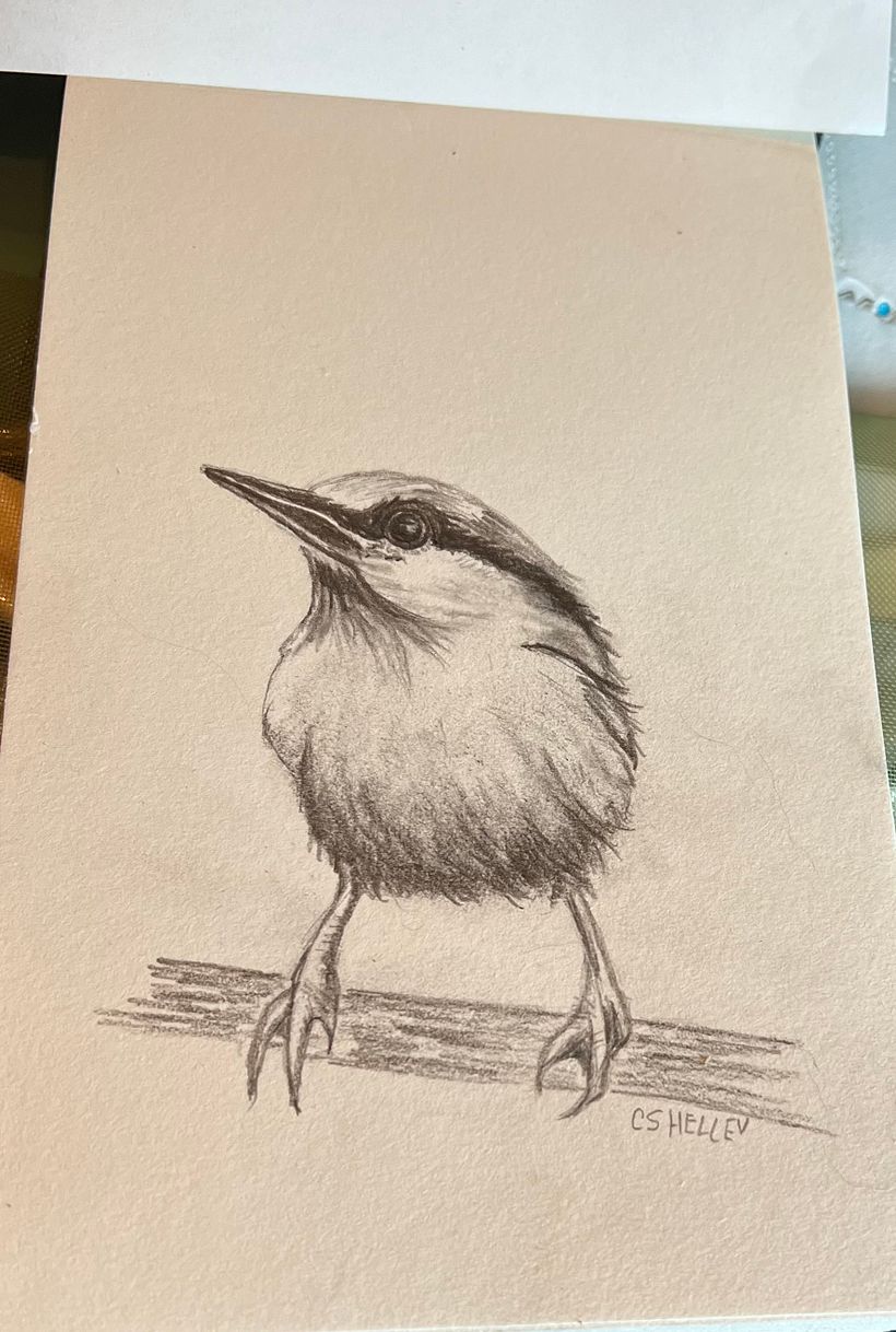 My project for course: Artistic Watercolor Techniques for Illustrating Birds 1