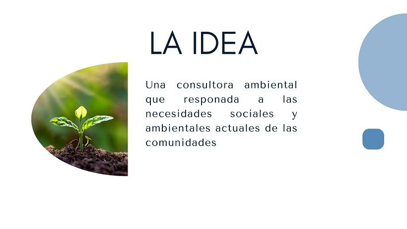 Consultora ambiental 2