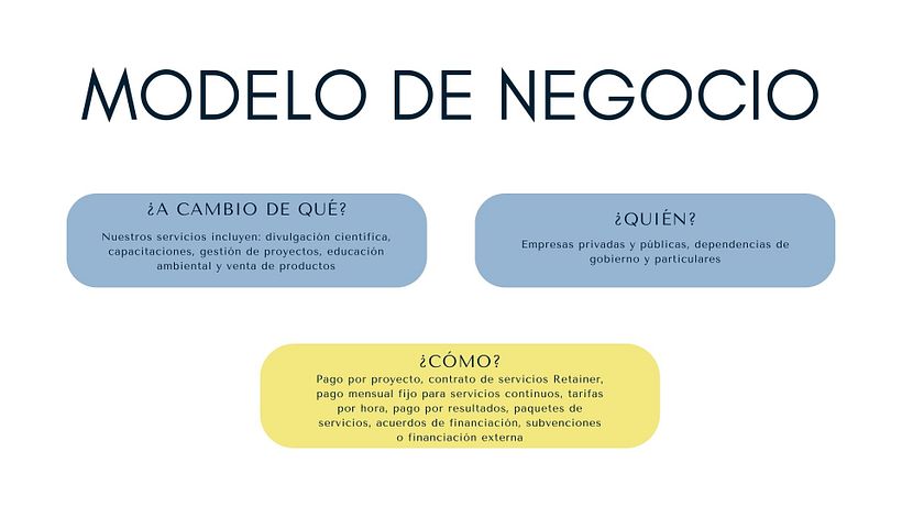 Consultora ambiental 6