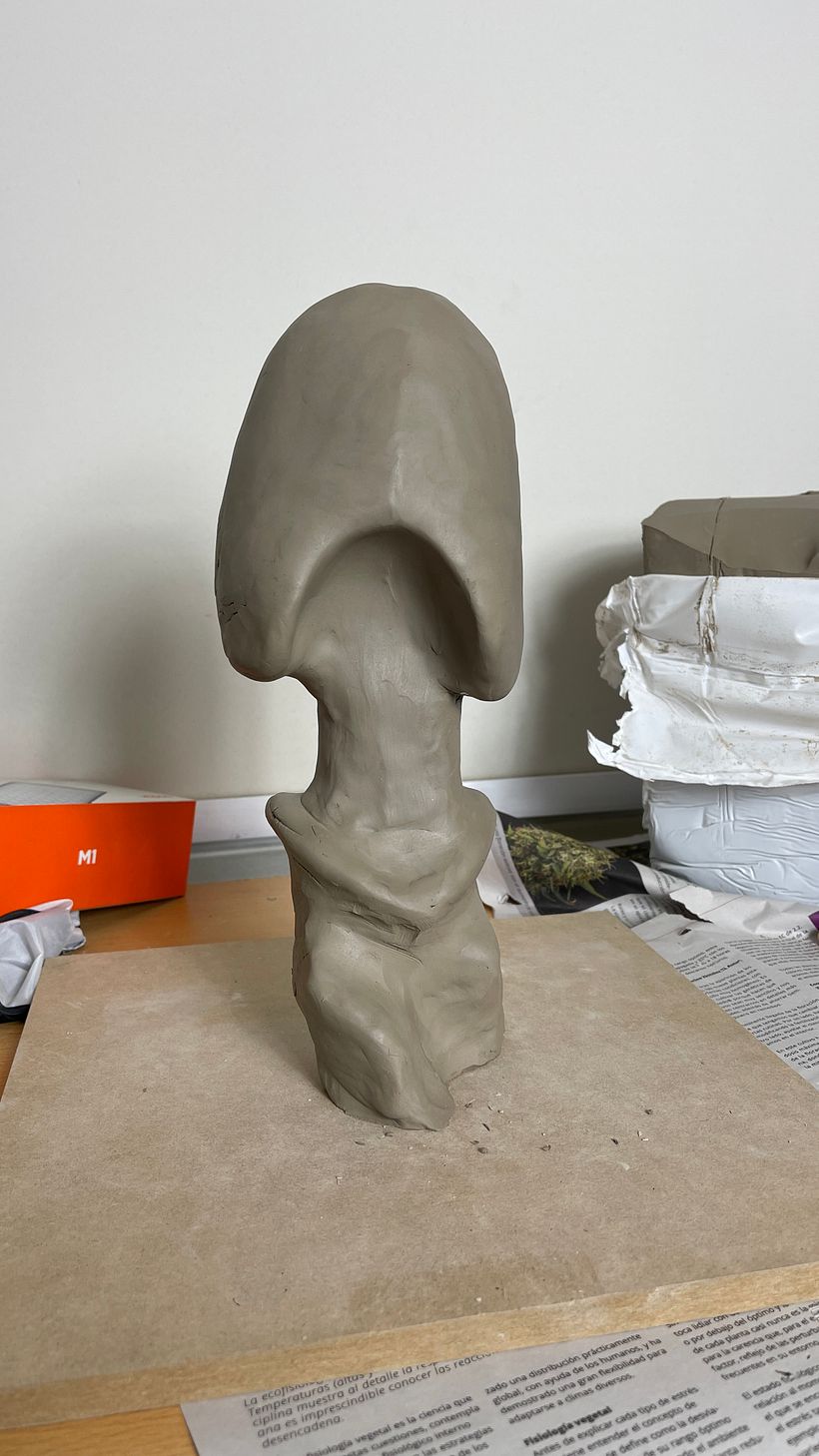 Momento inicial del Modelado de Torso