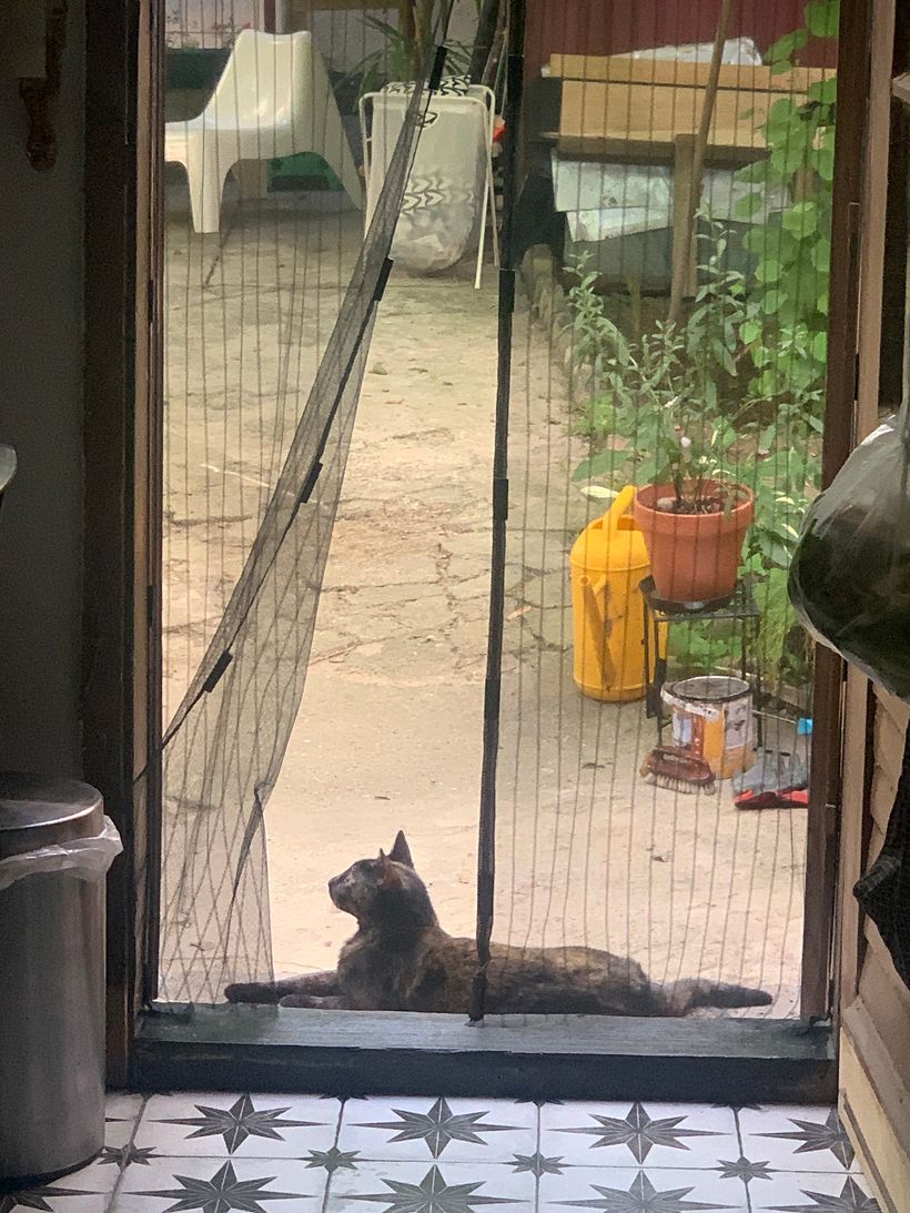 My project for course: Paper pulp objects 3