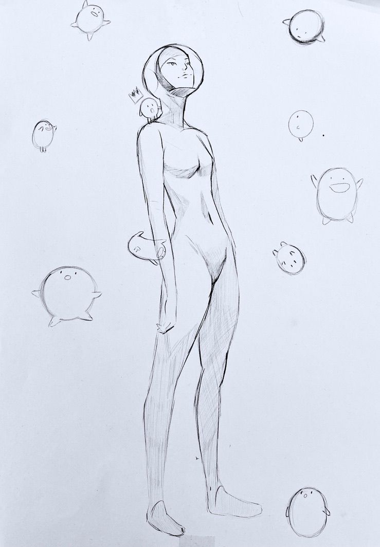 Boceto, 2024