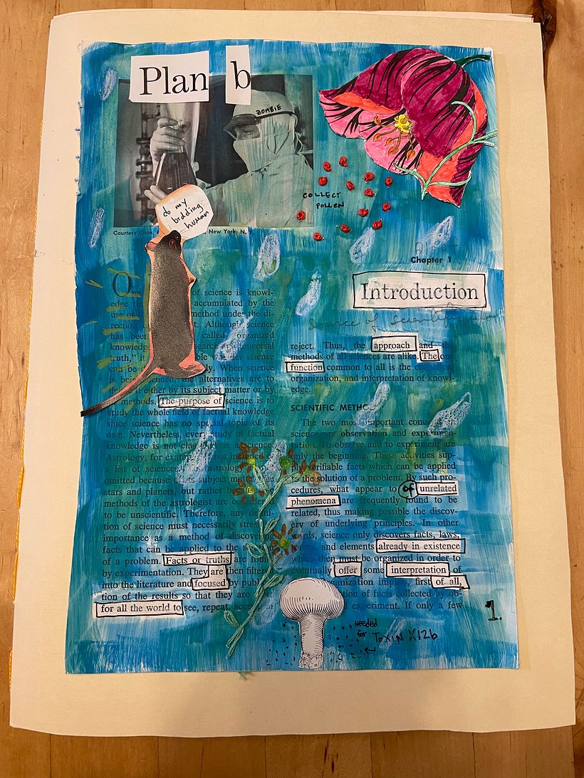 Plan B , final project for Experimental Creativity 1