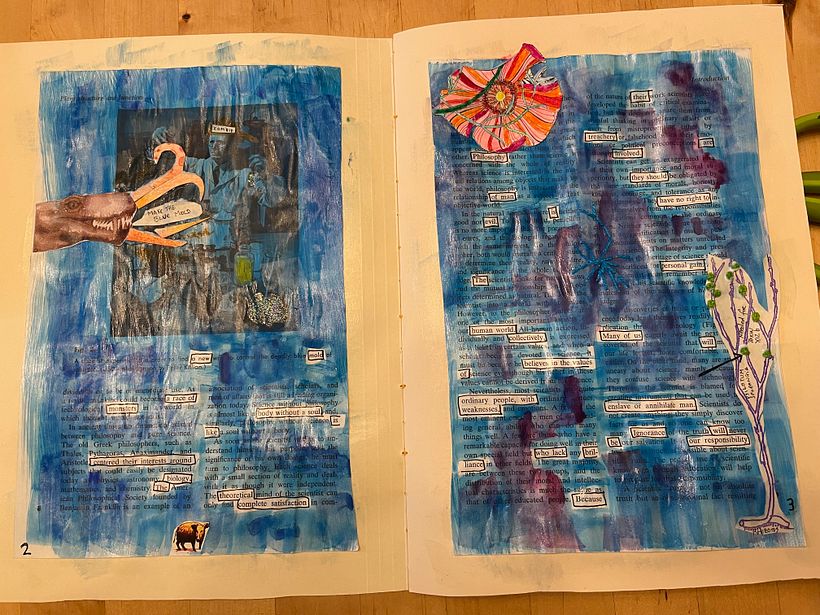 Plan B , final project for Experimental Creativity 2