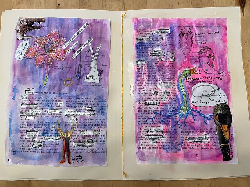Plan B , final project for Experimental Creativity 3