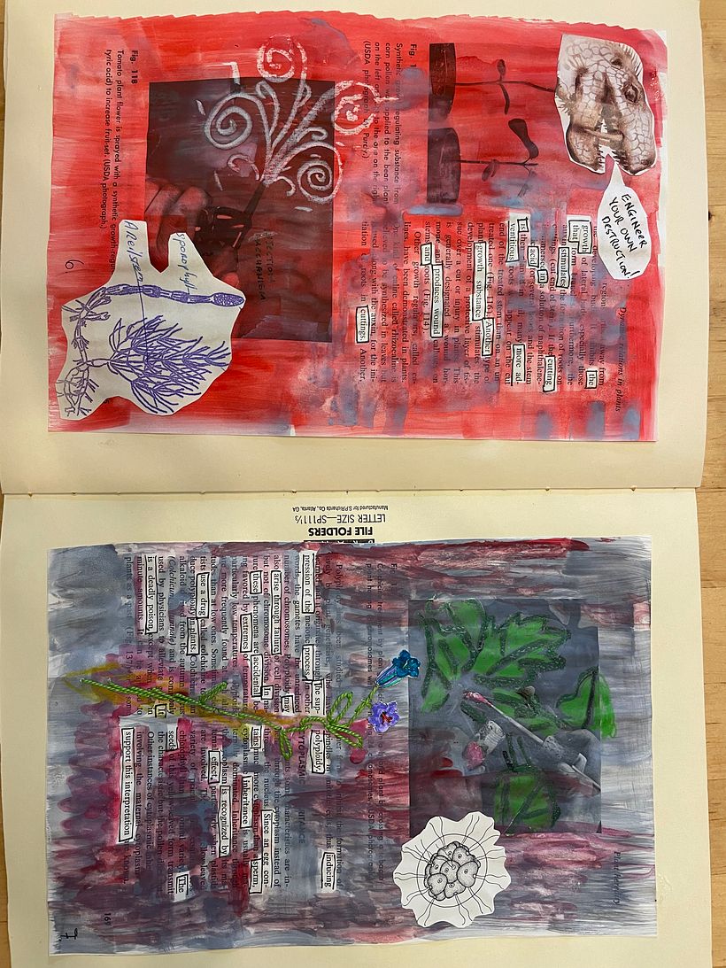 Plan B , final project for Experimental Creativity 4