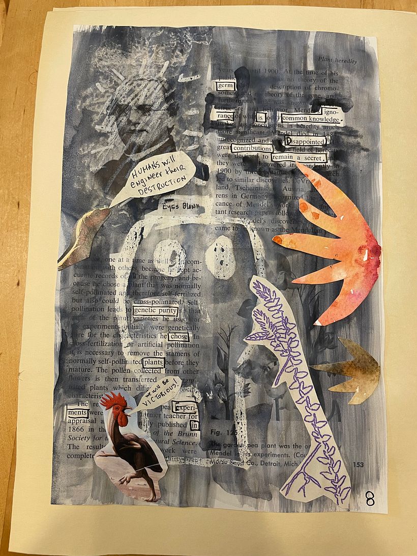 Plan B , final project for Experimental Creativity 5