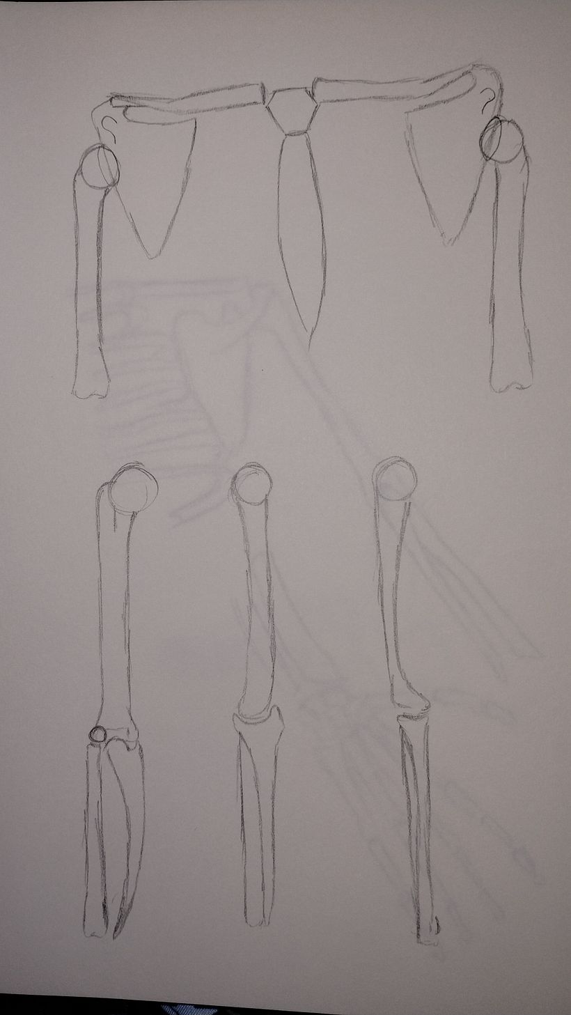 My project for course: Anatomical Drawing of Limbs, Hands and Feet 4