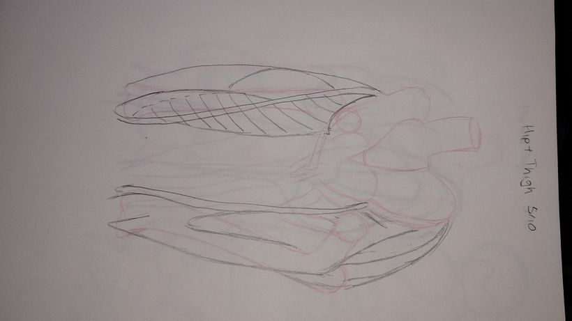 My project for course: Anatomical Drawing of Limbs, Hands and Feet 6
