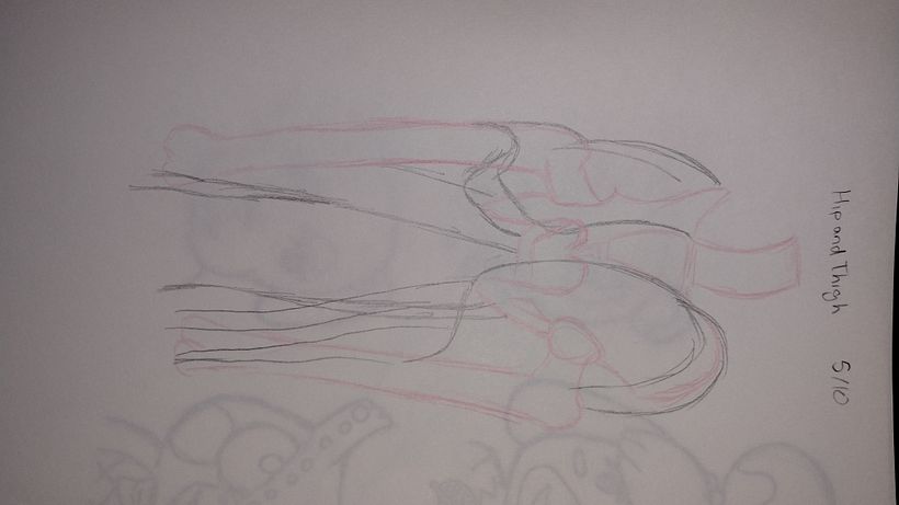 My project for course: Anatomical Drawing of Limbs, Hands and Feet 7