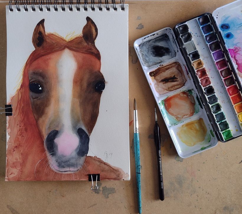 cavalo