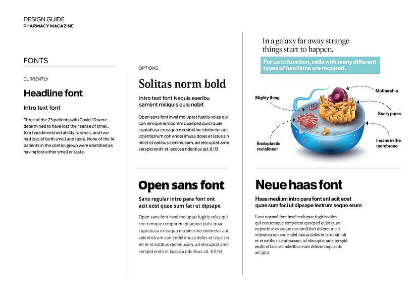 My project for course: Contemporary Brand Identity: Using Verbal and Visual Branding 6