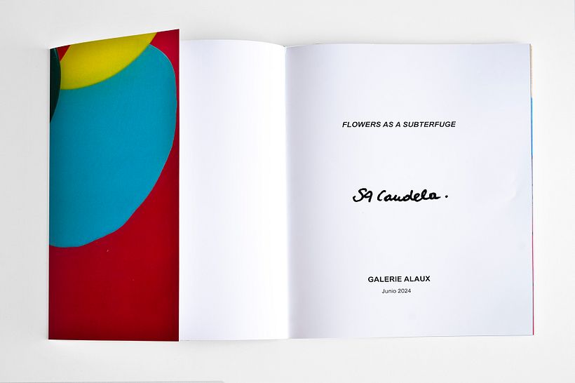 Catálogo de arte del artista S.A Candela,Galería Alaux.  3