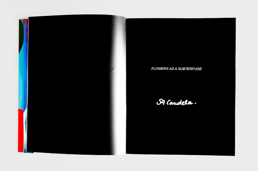 Catálogo de arte del artista S.A Candela,Galería Alaux.  5