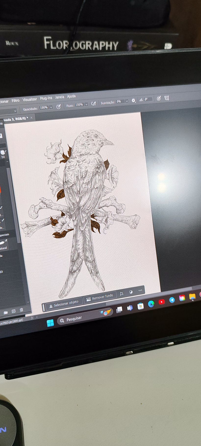 Início da coloração 