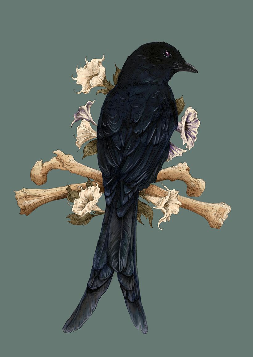 Meu projeto do curso: Ilustração naturalista com pintura digital 4