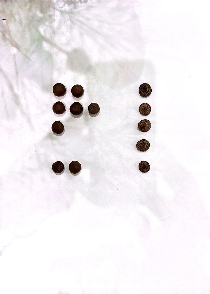 Mi proyecto del curso: Las leyes de la percepción visual: unidad, peso, equilibrio y movimiento 1