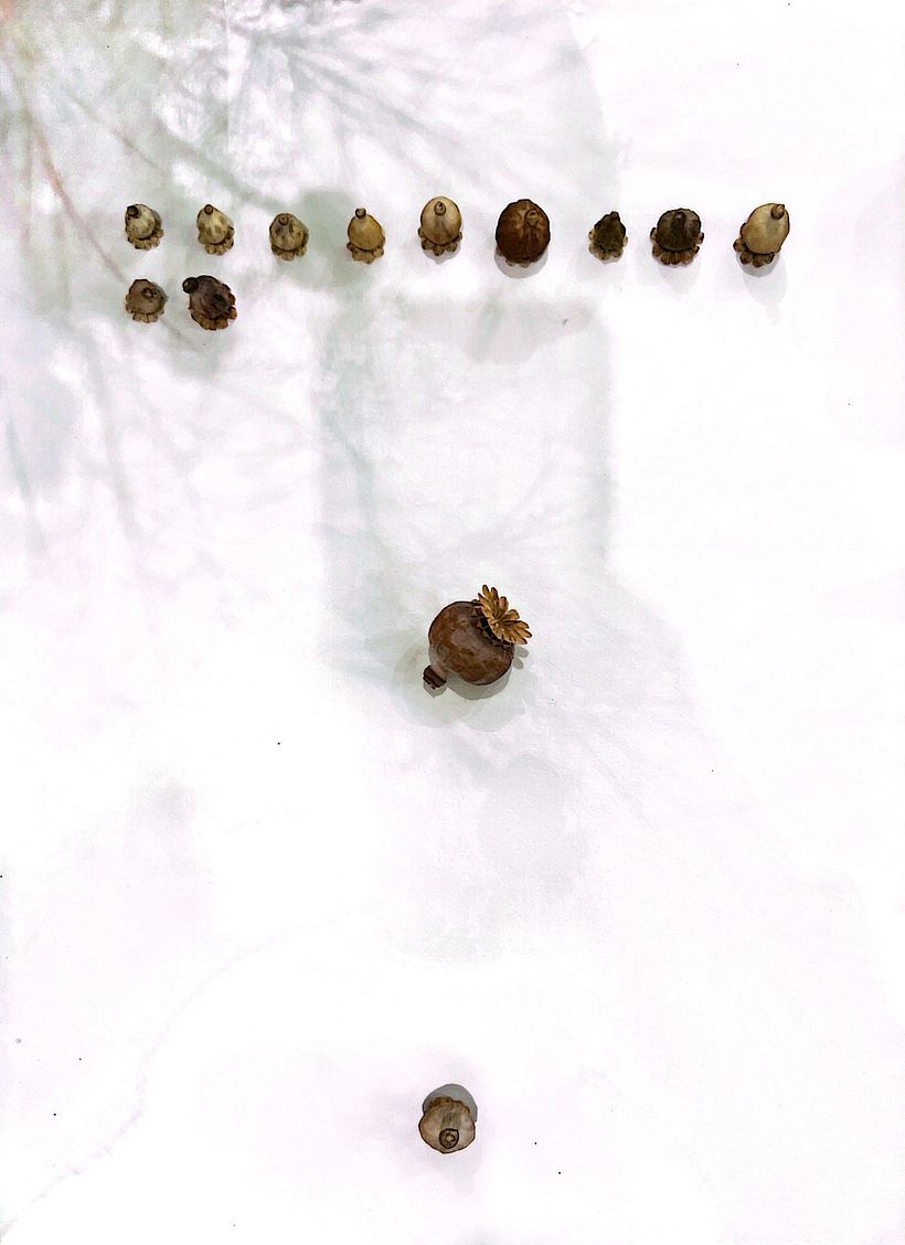 Mi proyecto del curso: Las leyes de la percepción visual: unidad, peso, equilibrio y movimiento 2