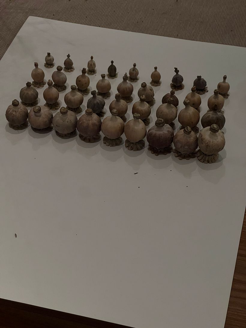 Mi proyecto del curso: Las leyes de la percepción visual: unidad, peso, equilibrio y movimiento 4