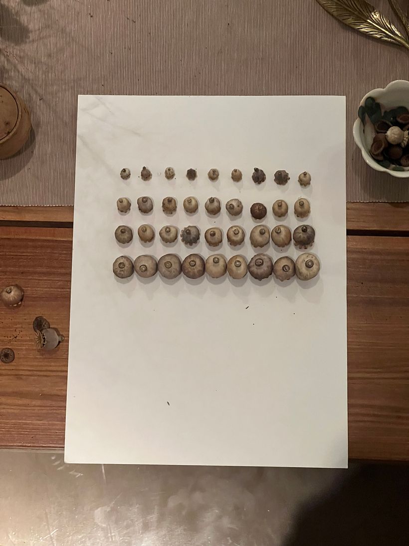 Mi proyecto del curso: Las leyes de la percepción visual: unidad, peso, equilibrio y movimiento 5