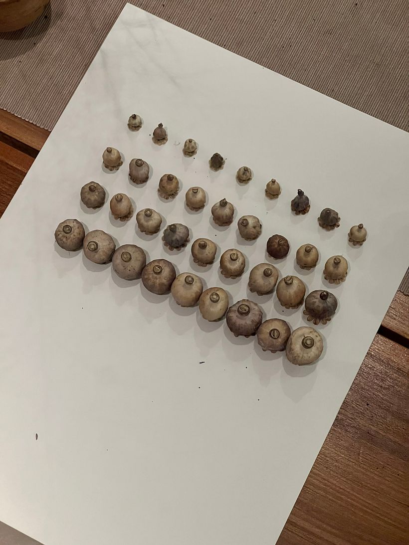 Mi proyecto del curso: Las leyes de la percepción visual: unidad, peso, equilibrio y movimiento 6