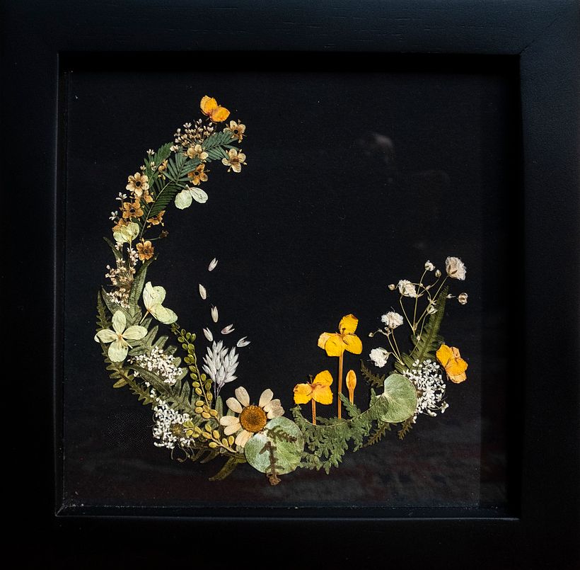 My project for course: Basic Botanical Pressing Techniques 4